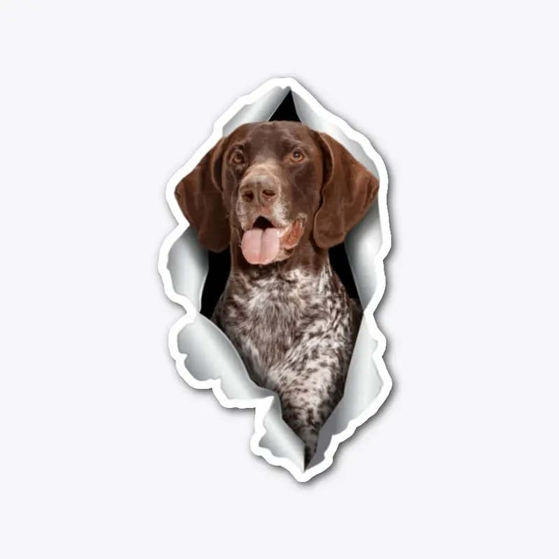 German Shorthaired Pointer Acc