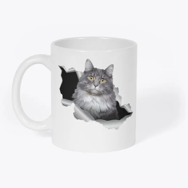 Gray cat acc