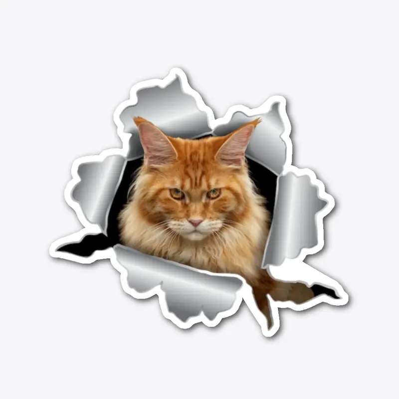 Red Maine Coon Cat Acc