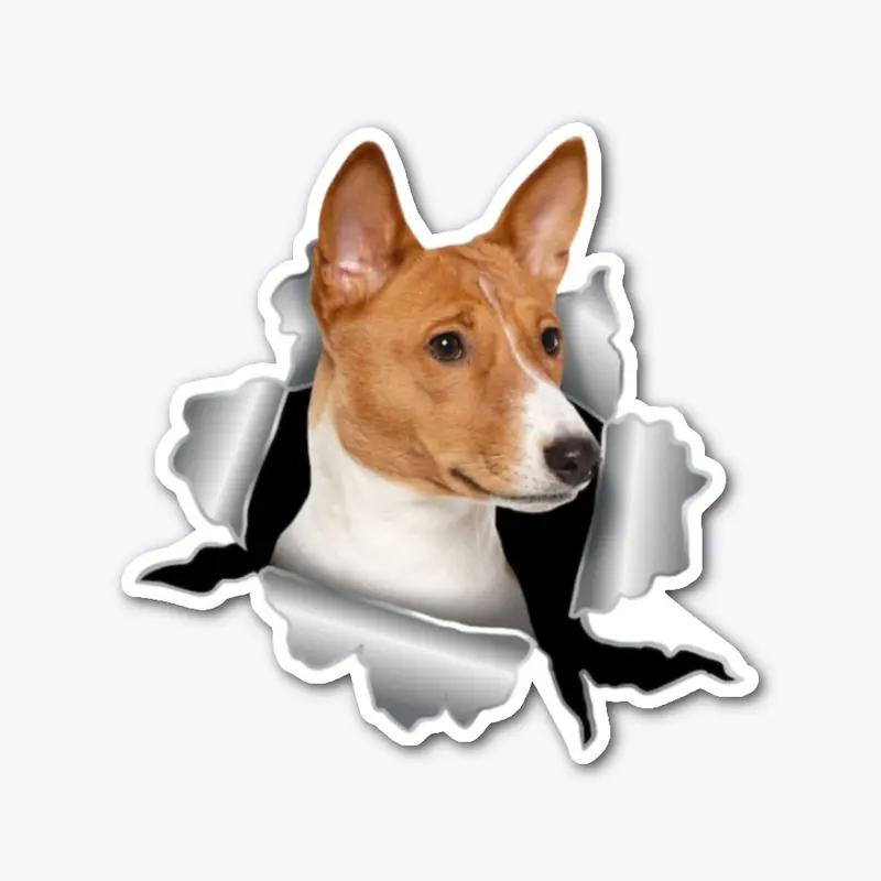 Dog Basenji Acc