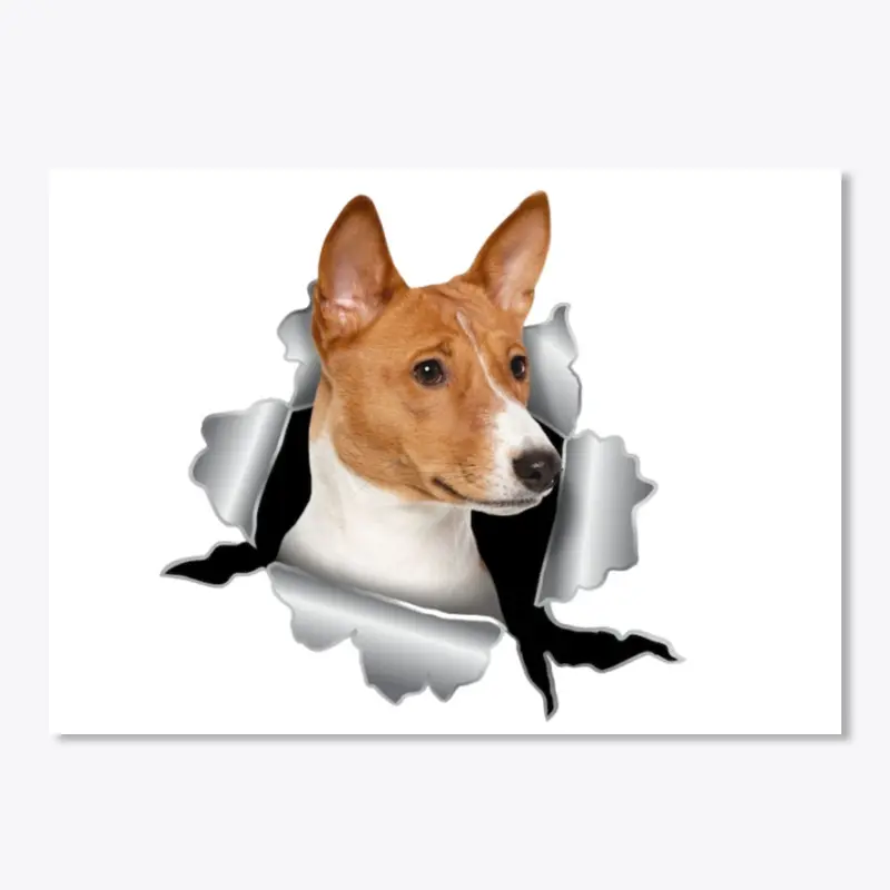 Dog Basenji Acc