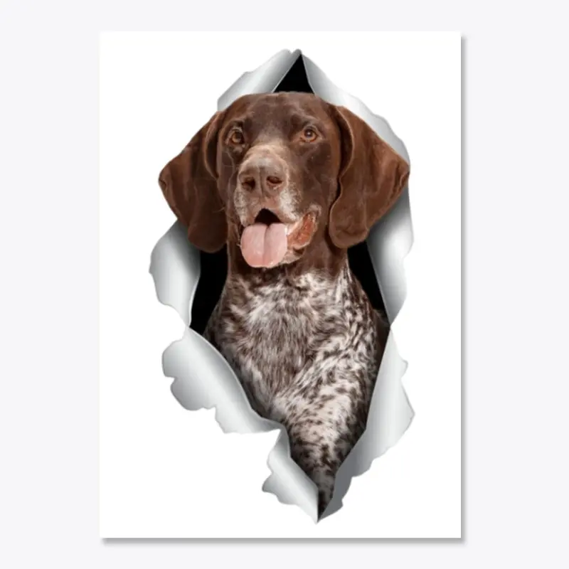 German Shorthaired Pointer Acc