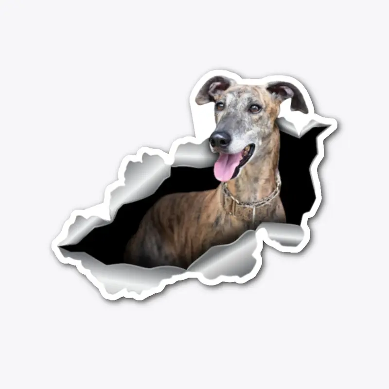 Brindle Whippet Acc