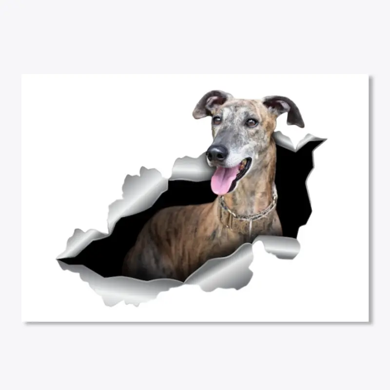 Brindle Whippet Acc